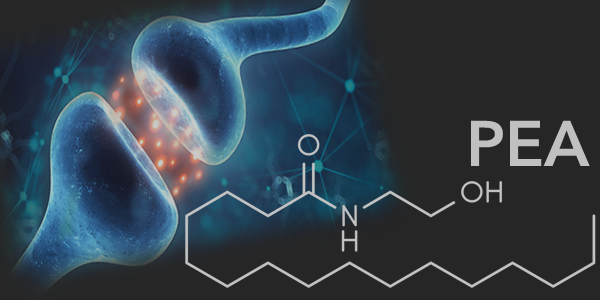 How does PEA work in pain management