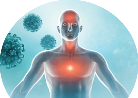 PEA and Chronic Pain: What the Clinical Evidence Actually Says